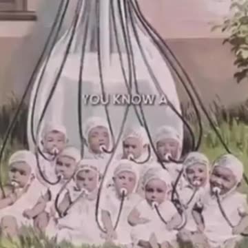 Why Did Great Grandparents Never Talk About The Reset?