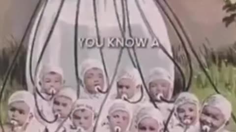 Why Did Great Grandparents Never Talk About The Reset?