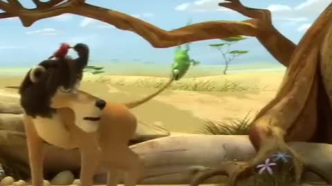 Funny lion video, 😂😂😂😂😂😂😂😂😂😂😂😂😂😂😂😂😂😂#lion #funny #Facebook