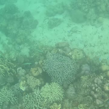 Snorkeling Morning!!