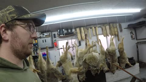 February 25, 2025 - Coyote Season Wrap Up