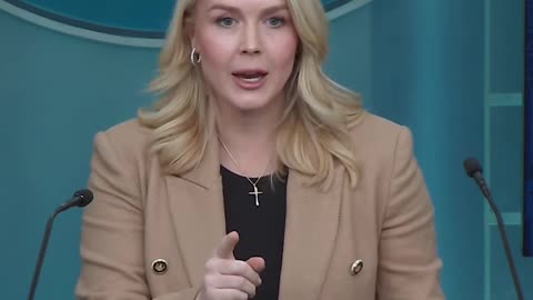 Leavitt Torches Reporter for Smearing ICE Agent: "You're a Left-Wing Hack"