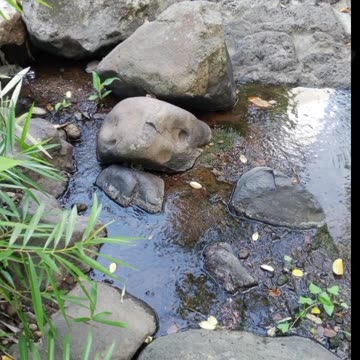 HISTORY IS A BIG LIE