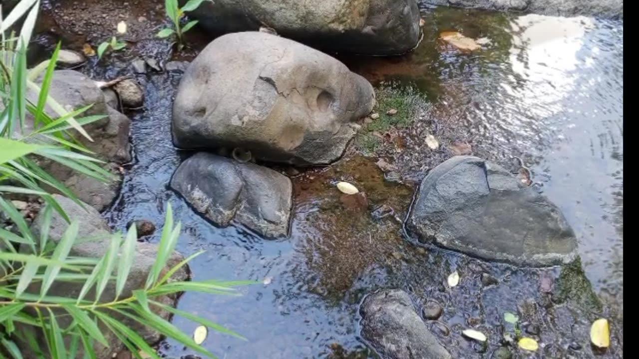 HISTORY IS A BIG LIE