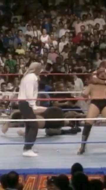 the maga powers take down the mega bucks