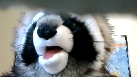 Buffalo Bills Resurgence is Not a Fluke, they are Loaded with Talent...