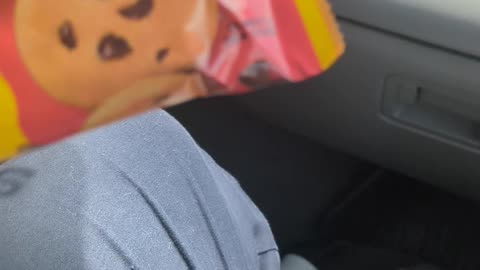 Keebler Chips Deluxe Soft Batch Chocolate Chip Cookies Taste Test Fast-Food & Dessert Review Guys