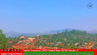 Oduu Waaree ONM-ABO Sadaasa 22-2025 itti dhiyaadhaa!