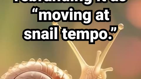 Running late? Consider rebranding it as “moving at snail tempo" #motivation #relaxingmusic