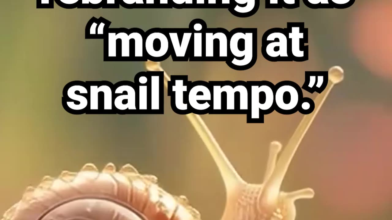 Running late? Consider rebranding it as “moving at snail tempo" #motivation #relaxingmusic