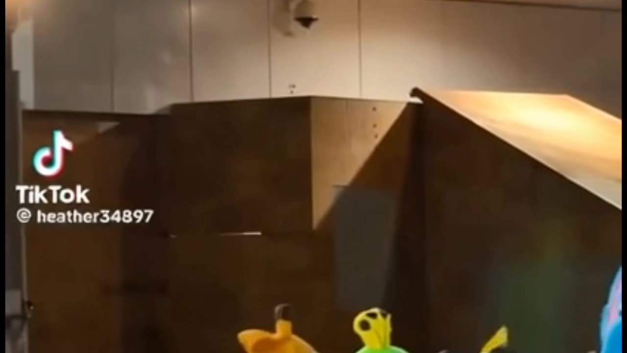 #Portland Frog memes