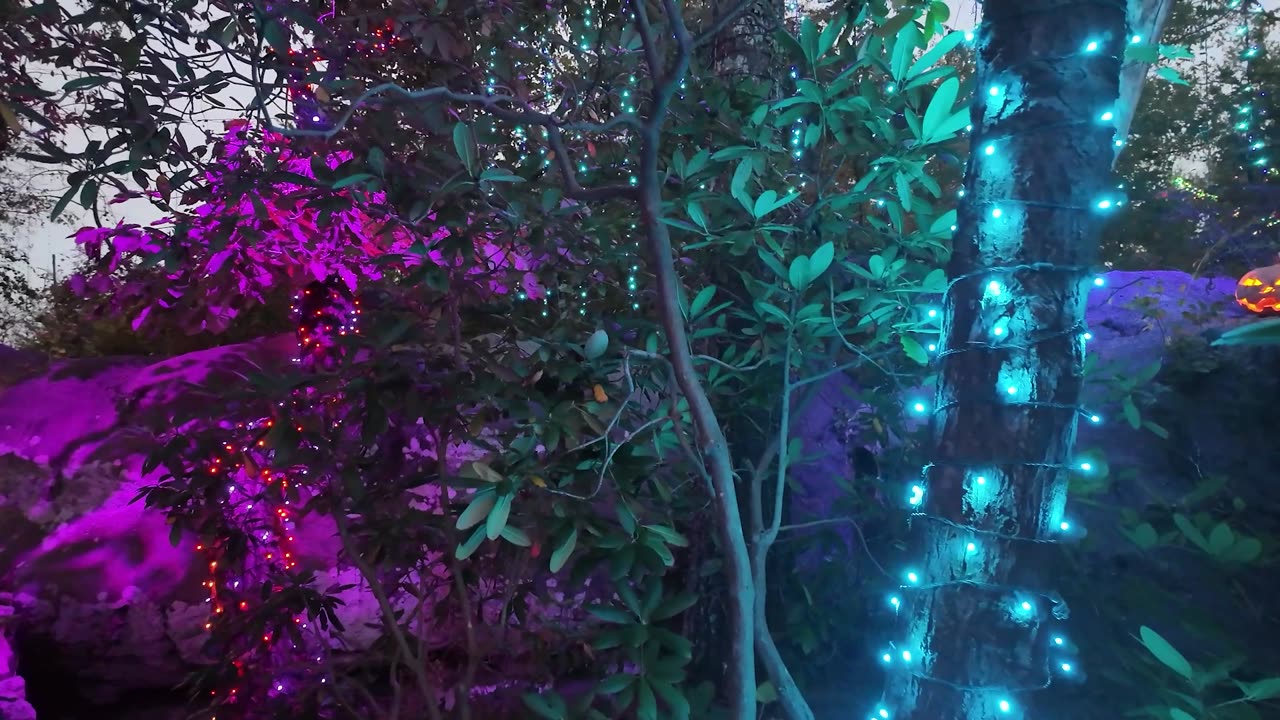 Enchanted Pumpkin Patch