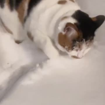 Snow ??? , no Thanks