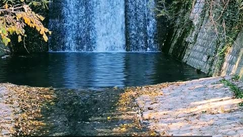 Daily Horoscope | Aquarius 🌟