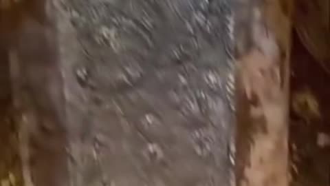 The Shell Grotto in Kent England a man in 1835 was digging a duck pond and uncovered a tunnel with a mosaic made from 4.6 million shells