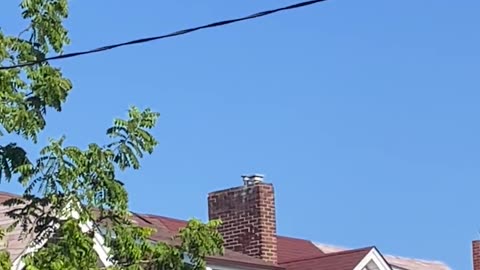 👽🔭 Witnesses Capture Bizarre UFO Over Toronto! | TheTruthAbove