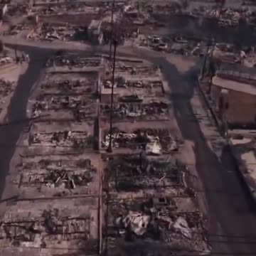 The most expensive fire in U.S. history left most of the trees around homes intact