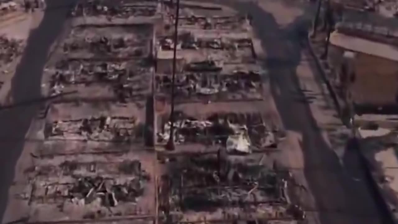 The most expensive fire in U.S. history left most of the trees around homes intact