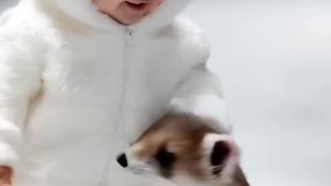 Cute baby animals fashion show 🐱🐽#cutebaby #cute #aifashionmodel #aifashion #funny #shorts