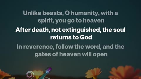 Full English Translation