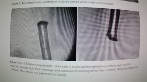 The PCR/Swab Tests were a Criminal Tool of Genocide