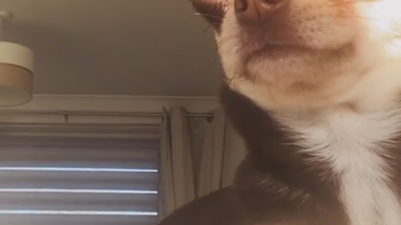 Does anyone else feel like this 😭?