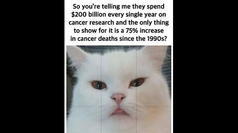 False flag fucking fake shit