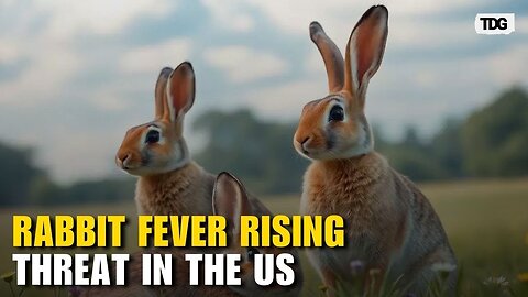 Rabbit Fever: The Silent Threat on the Rise in the US