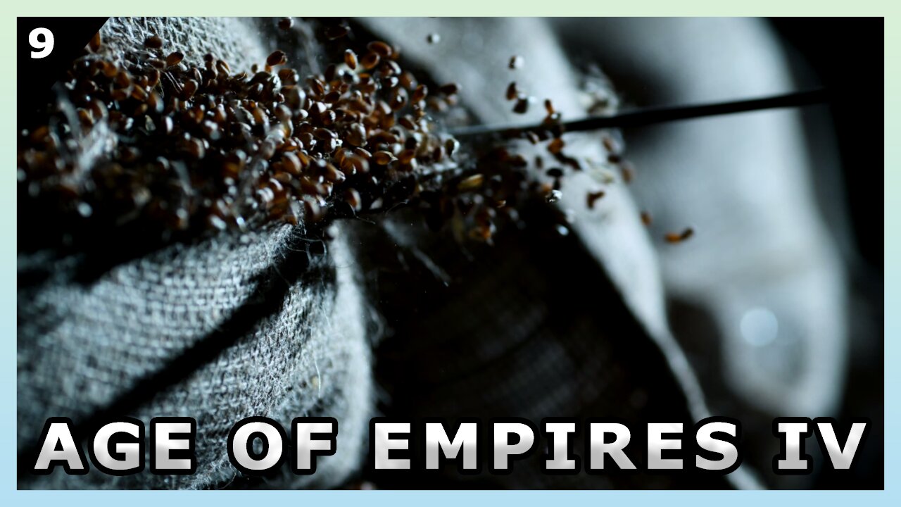 Age Of Empires IV - 4 v 4 Custom MAP - PANIC TIME! ⚔ 🔥