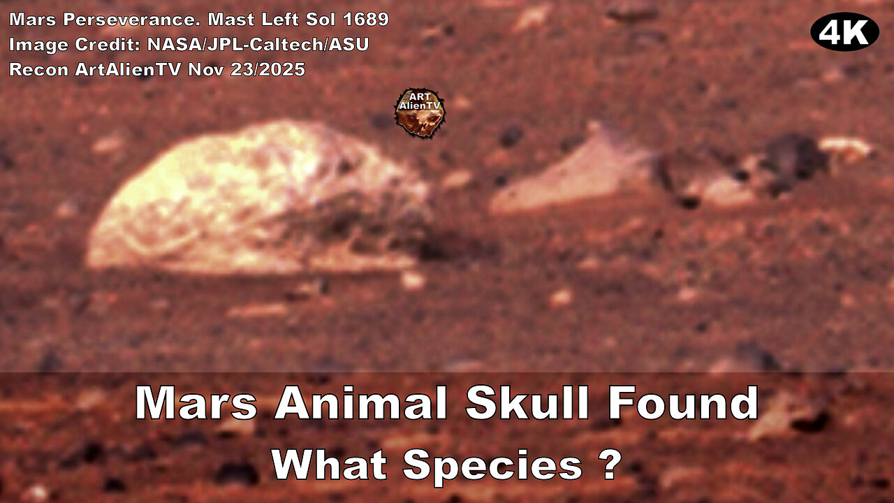 MARS Animal Skull Found. What Species is This ? 4K