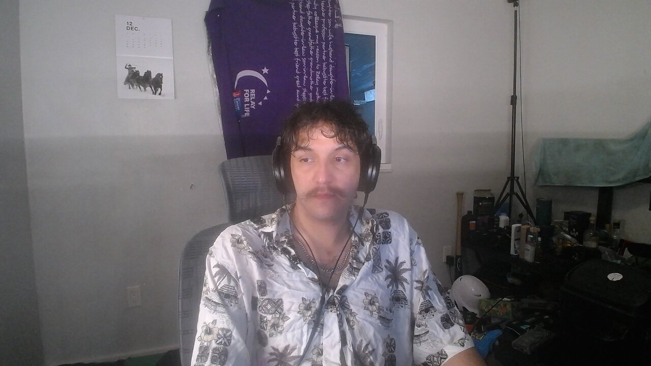 hardcore mode kcd2 - vibing