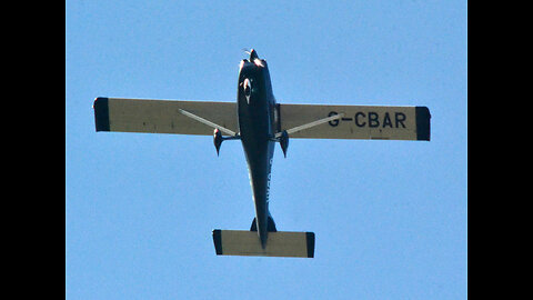 ERNEST GIBSON A WINGED FLYING MONKEY