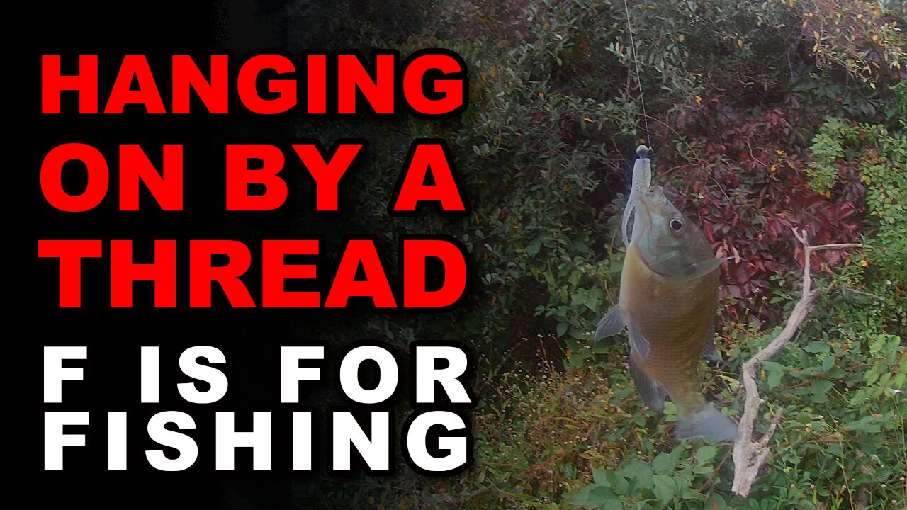 Hanging on by a Thread