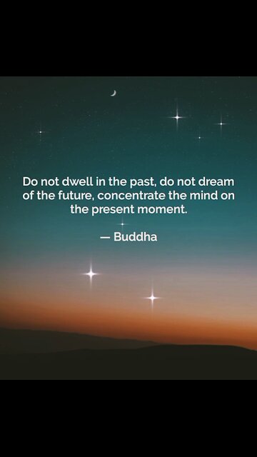 Your Qoute For A Day 278