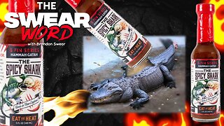 Hammah Gatah - 6 Fin Series from The Spicy Shark!