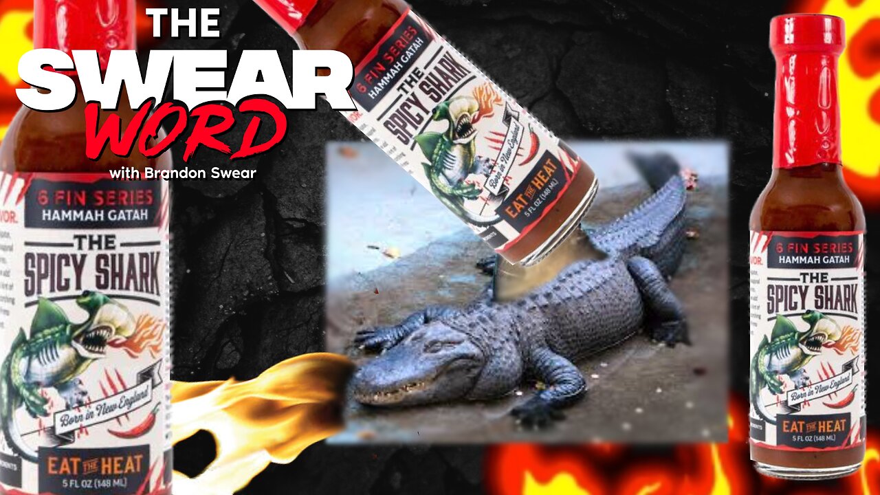 Hammah Gatah - 6 Fin Series from The Spicy Shark!