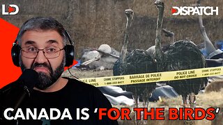 For the Birds: The CFIA's Mass Slaughter & the Carney Government Moves to Ban the Bible