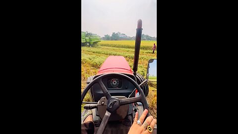 🥰🥰🐎🐎#viralshort #viralvideo