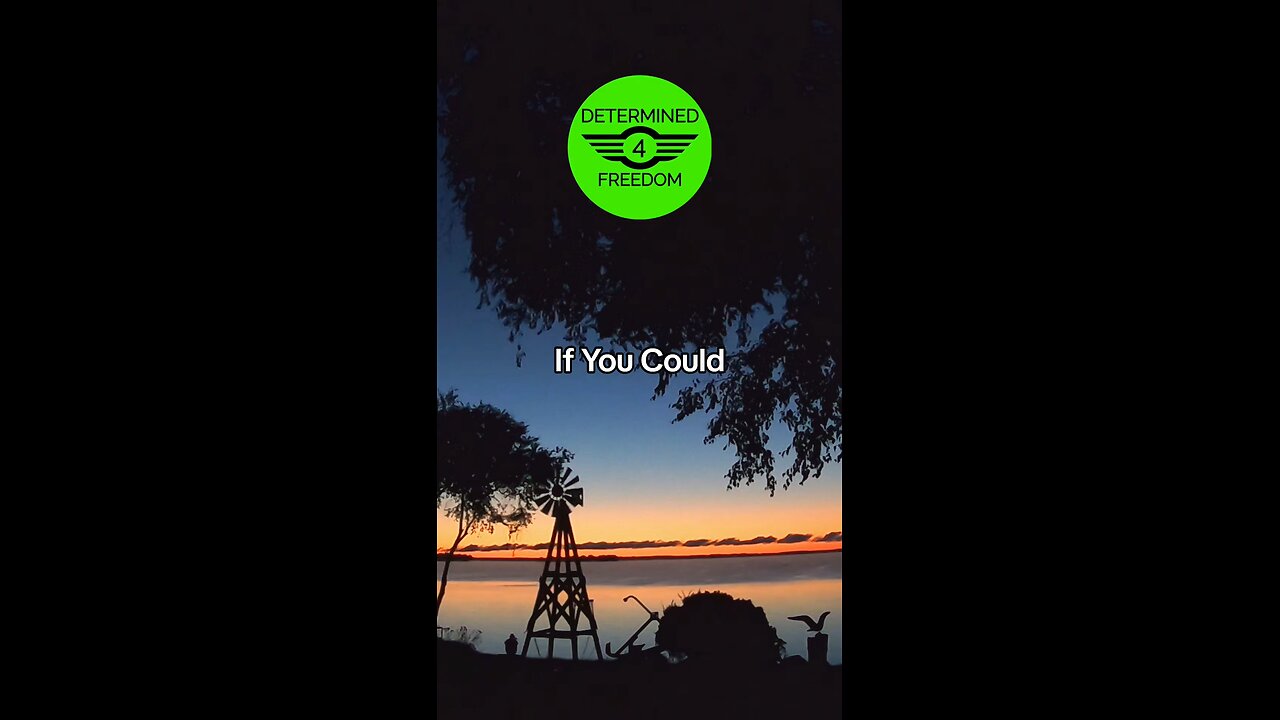 If You Could...