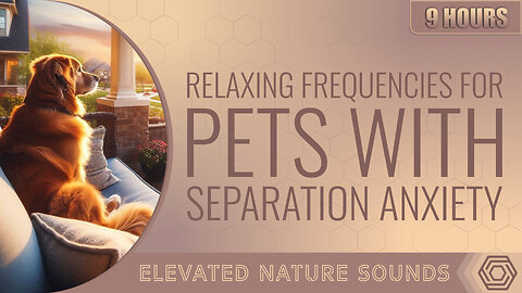 9 Hours of Relaxing Frequencies for Pets with Separation Anxiety