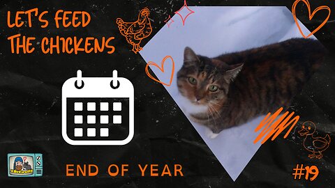 End of Year Recap | Let's Feed the Chicken | E19