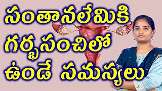 సంతనలేమికి గర్భసంచిలో ఉండే సమస్యలు How To Impact Uterine Disorder Infertility Homeopathy Treatment
