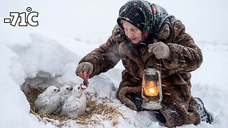 Surviving –71°C | 90-Year-Old Widow Feeds Starving Snowy Owls in Yakutia