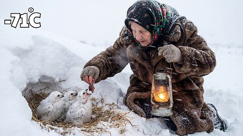 Surviving –71°C | 90-Year-Old Widow Feeds Starving Snowy Owls in Yakutia