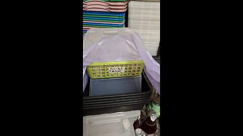 Pans consolidating and colonizing