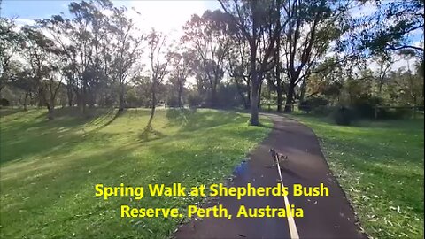 🌼 Spring Walk at Shepherds Bush Reserve. Perth, Australia