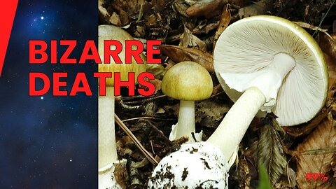 5 Most Bizarre Deaths by Vegetables: Shocking True Stories - Must-Watch!