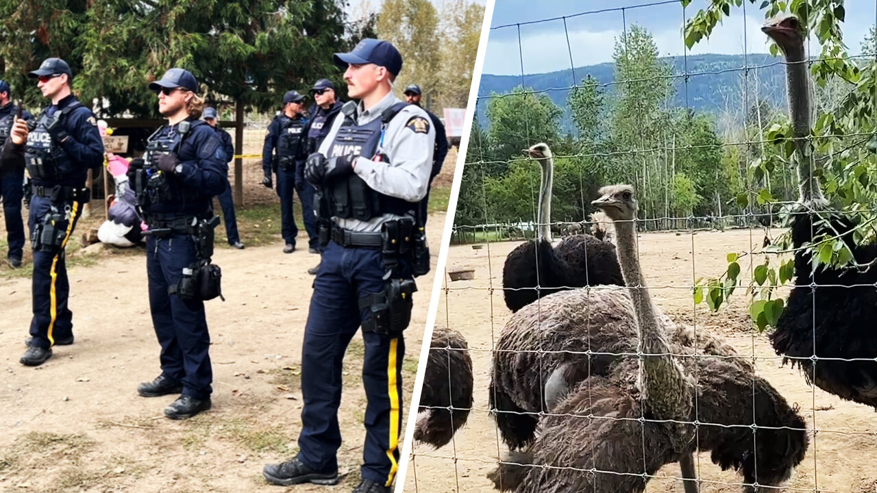 Police tactical team spotted near ostrich farm as supporters pray for miracle