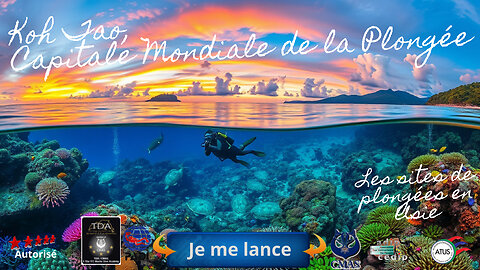 🚢💥 L'Appel des Profondeurs : Koh Tao, Capitale Mondiale de la Plongée