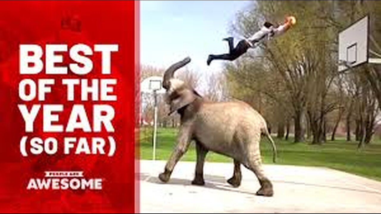 Top 100 Amazing Videos of the Year.......